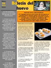 huevo elaborado en microondas.pdf