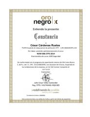 Oro Negro Interno (online) SSPA - NOM-006-STPS-2014.pdf