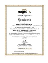 Oro Negro Interno Reglamento de Seguridad e Higiene de Petróleos Mexicanos y Organismos Subsidiarios.pdf