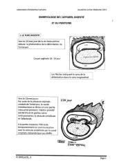 anato2an-embryologie_appareil_digestif.pdf