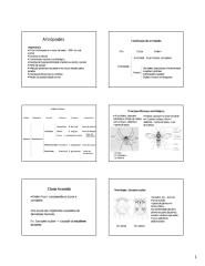 Artrópodes_(aula3).pdf