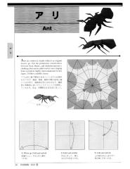 Ant.pdf